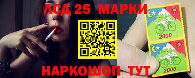 прущие грибы Комсомольск-на-Амуре