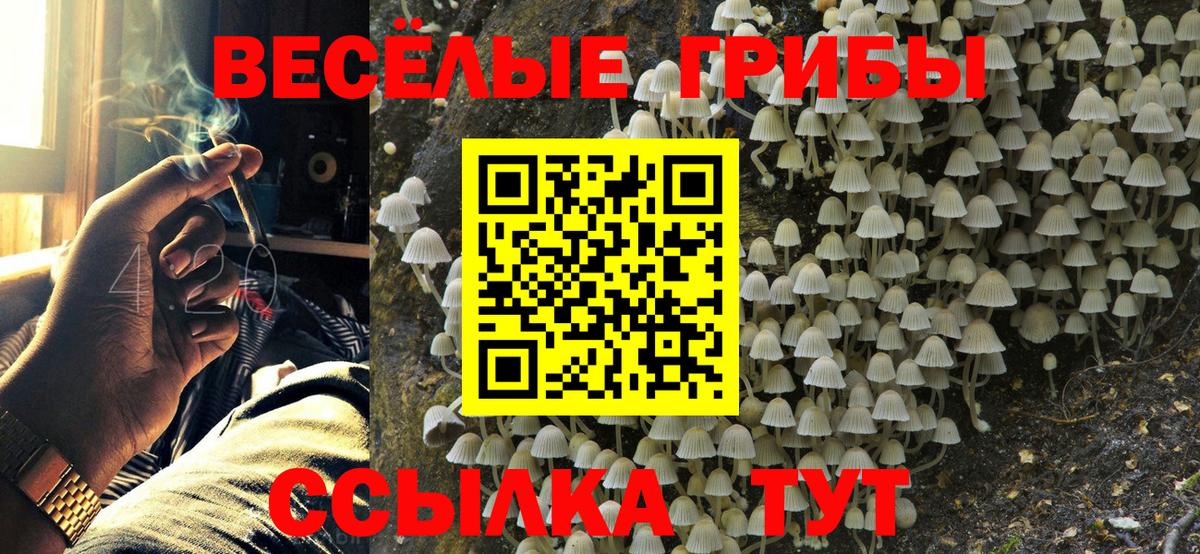 Псилоцибиновые грибы Cubensis Ишимбай